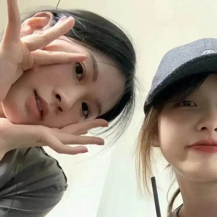 动物狂想曲第二季